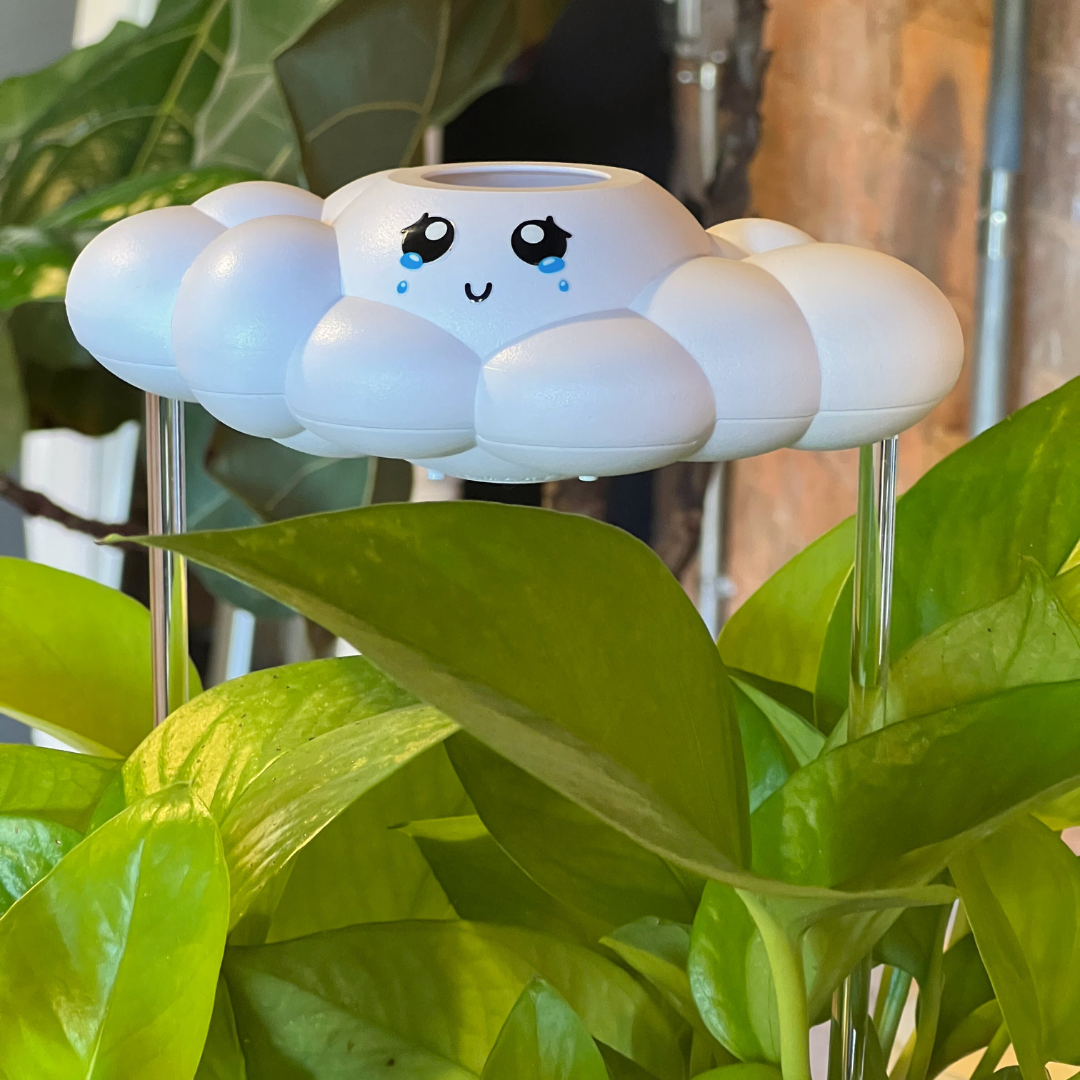 Clara The Cloud The Cloud Makers
