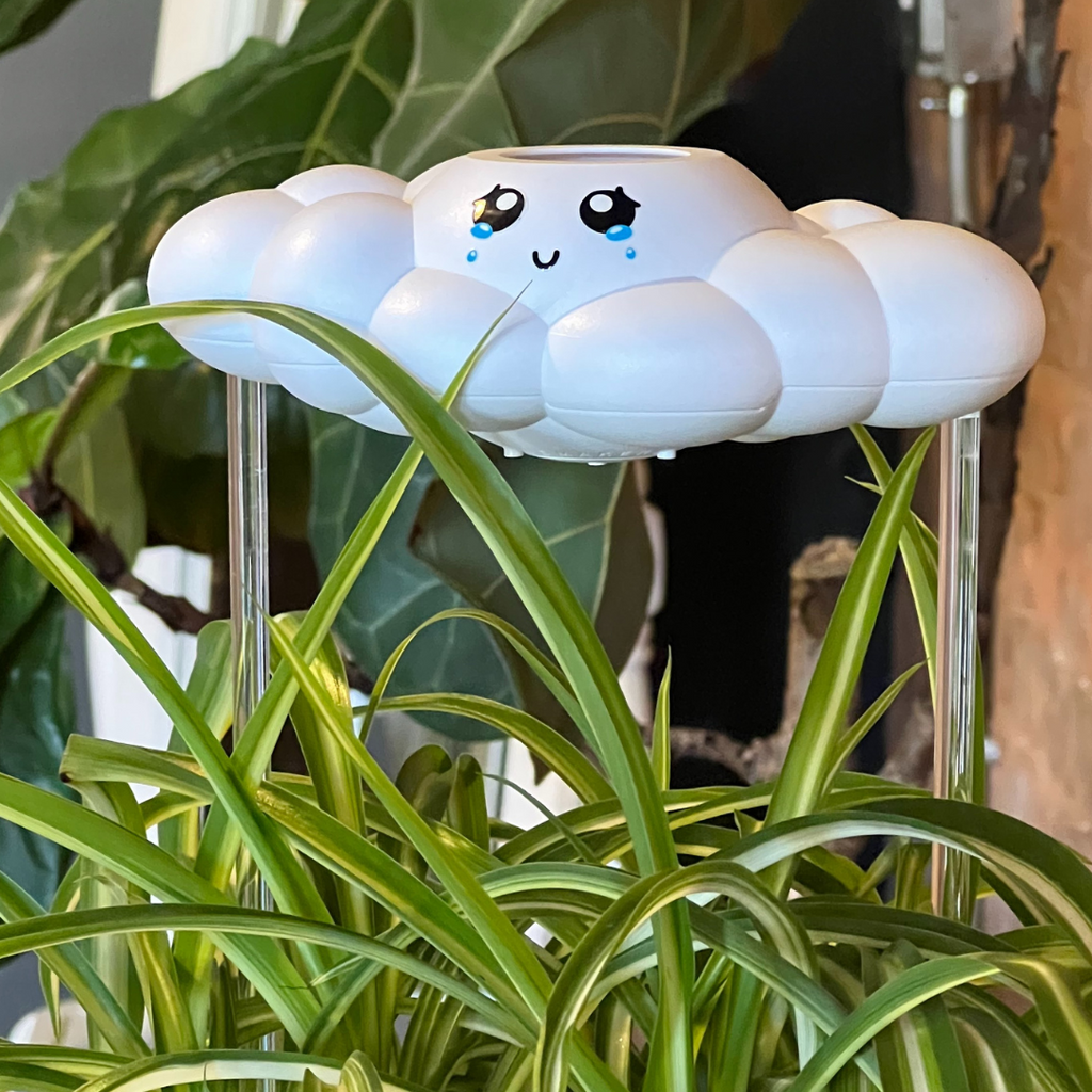 Clara The Cloud The Cloud Makers