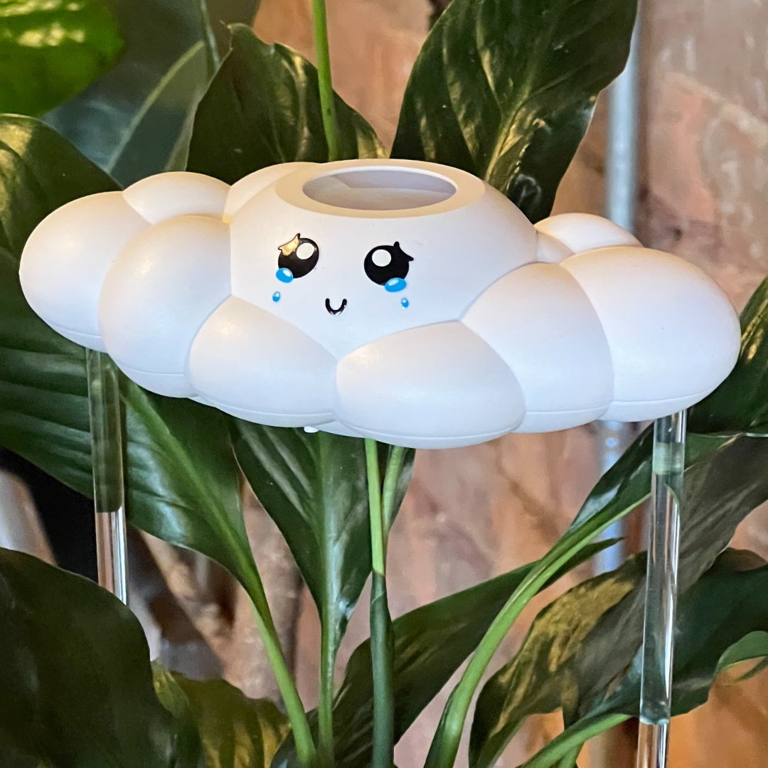 Clara The Cloud The Cloud Makers