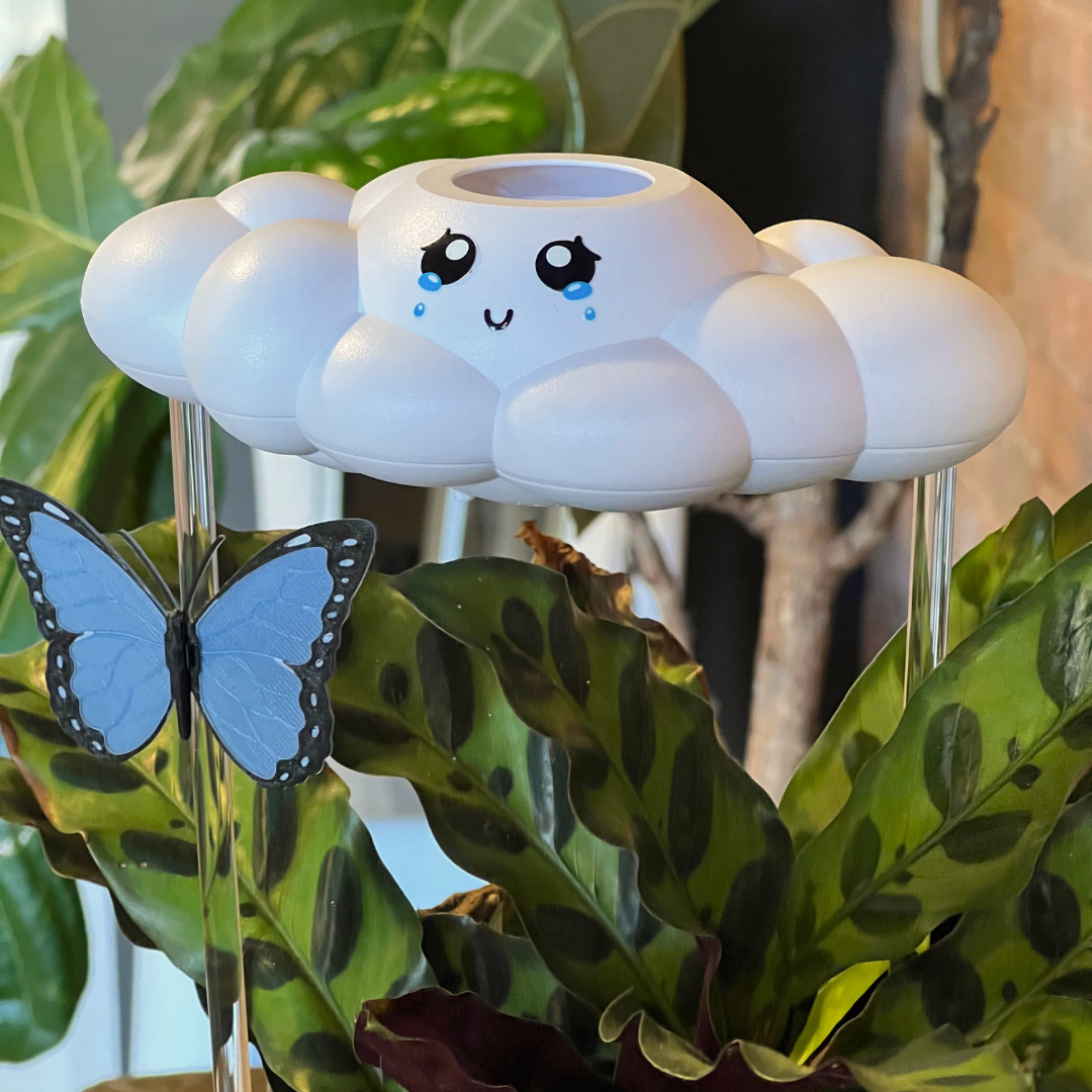 Clara The Cloud The Cloud Makers