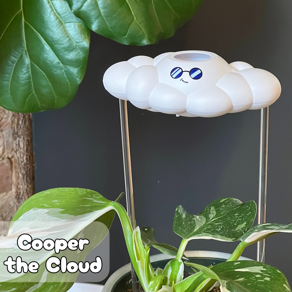Cooper the Cloud The Cloud Makers