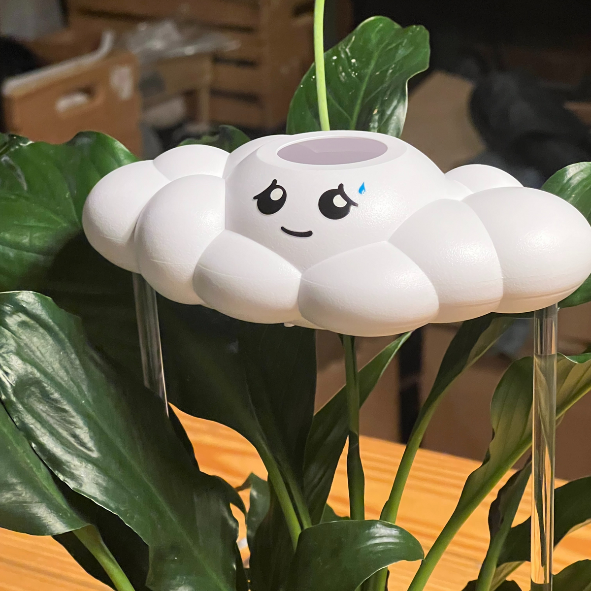 Cory the Cloud The Cloud Makers