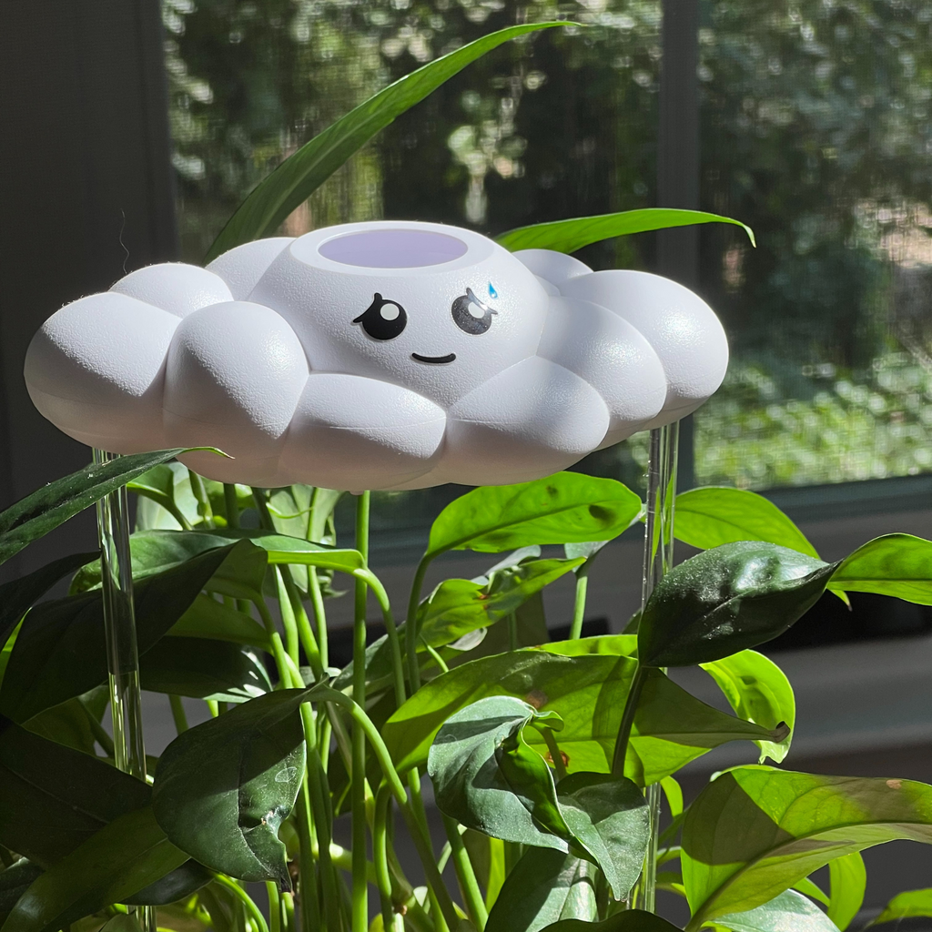 Cory the Cloud The Cloud Makers