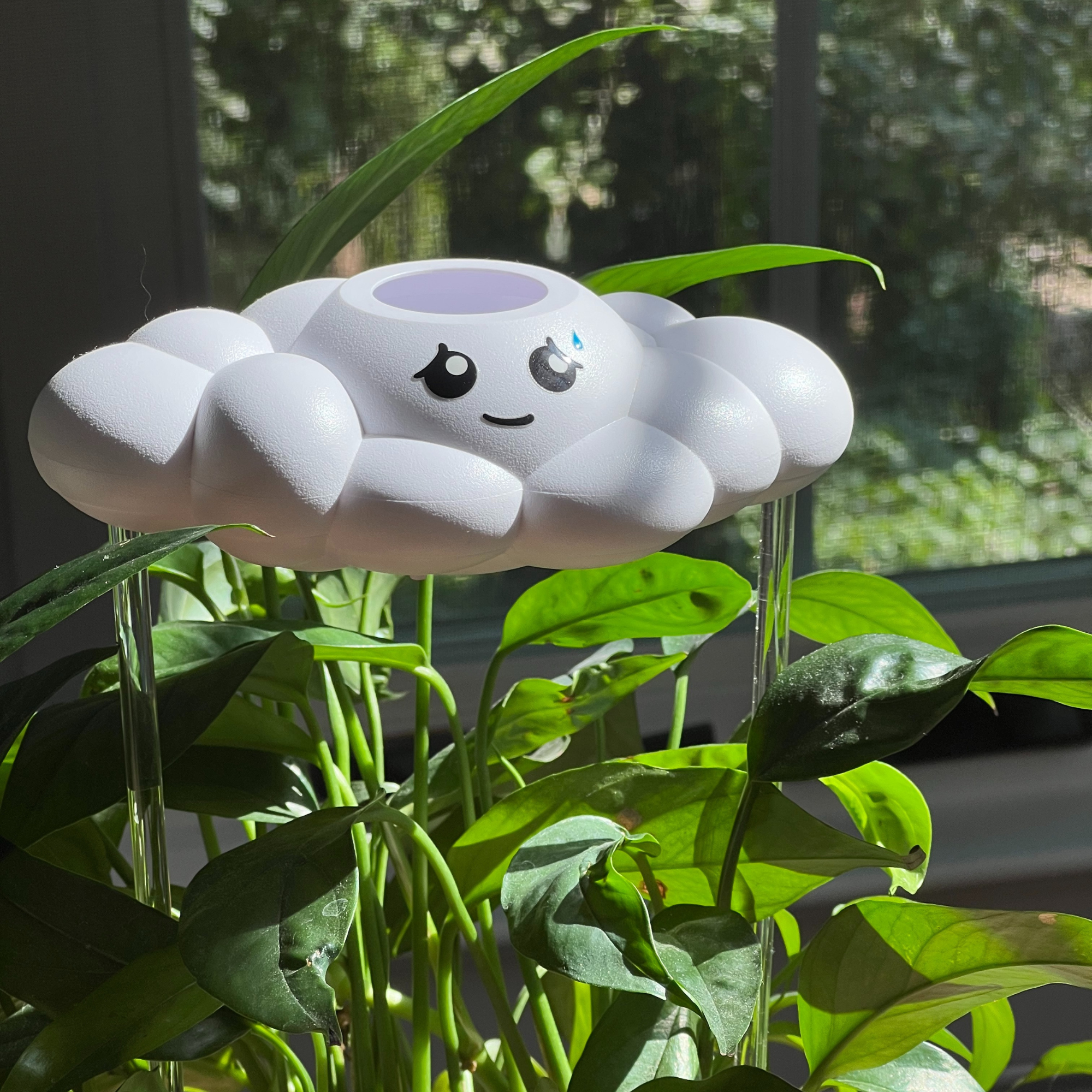 Cory the Cloud The Cloud Makers