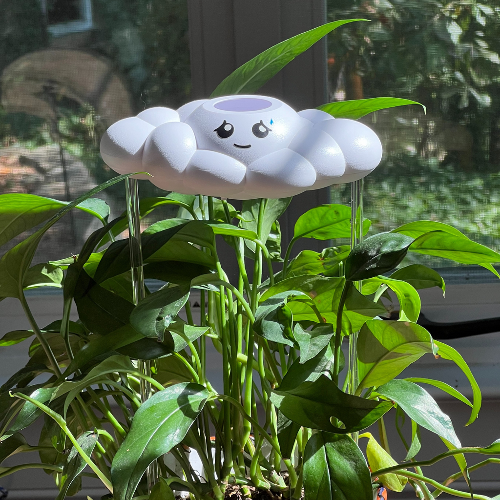 Cory the Cloud The Cloud Makers