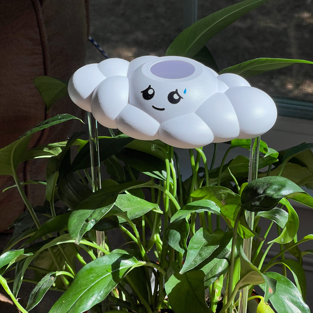 Cory the Cloud The Cloud Makers