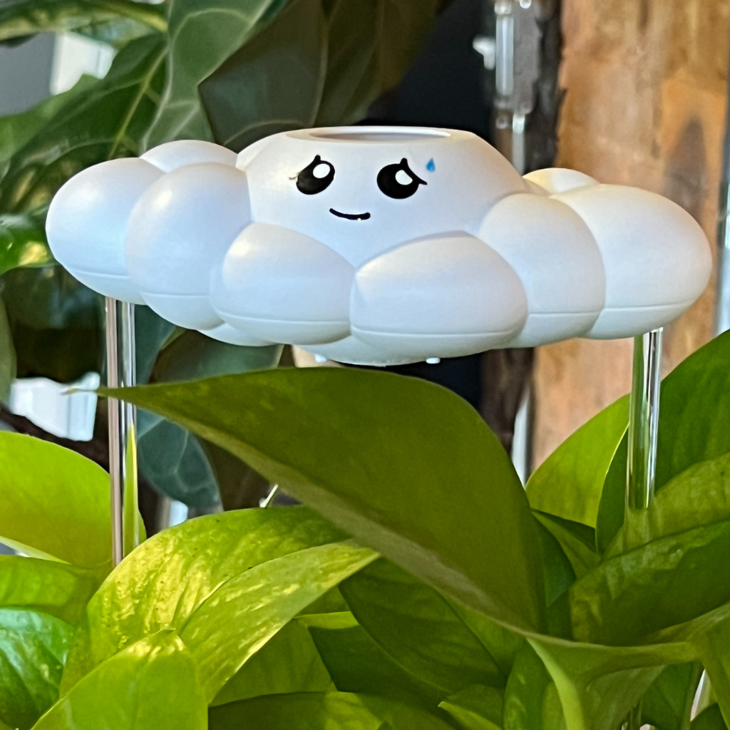 Cory the Cloud The Cloud Makers