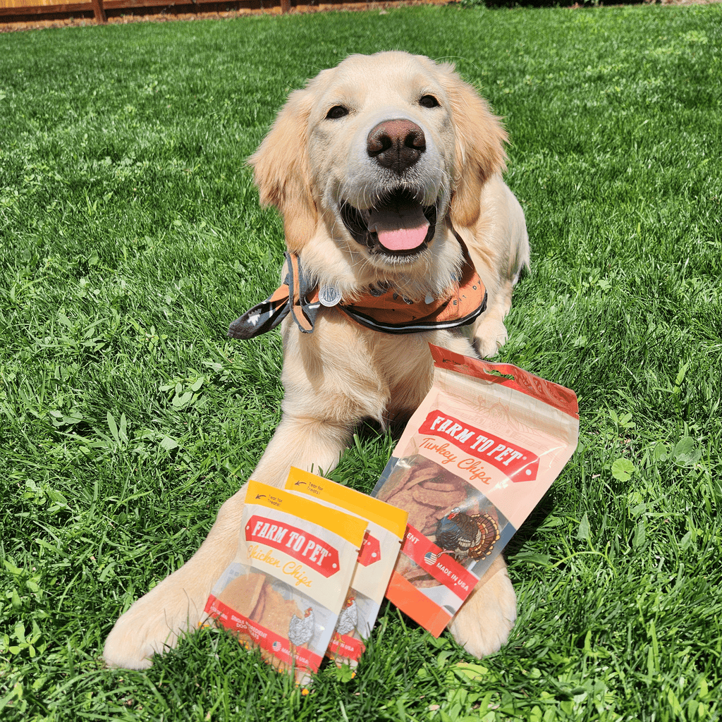 Puppy Packs 'n Snacks Dog Treat Starter Pack | Single-Ingredient Training Treats Farm To Pet
