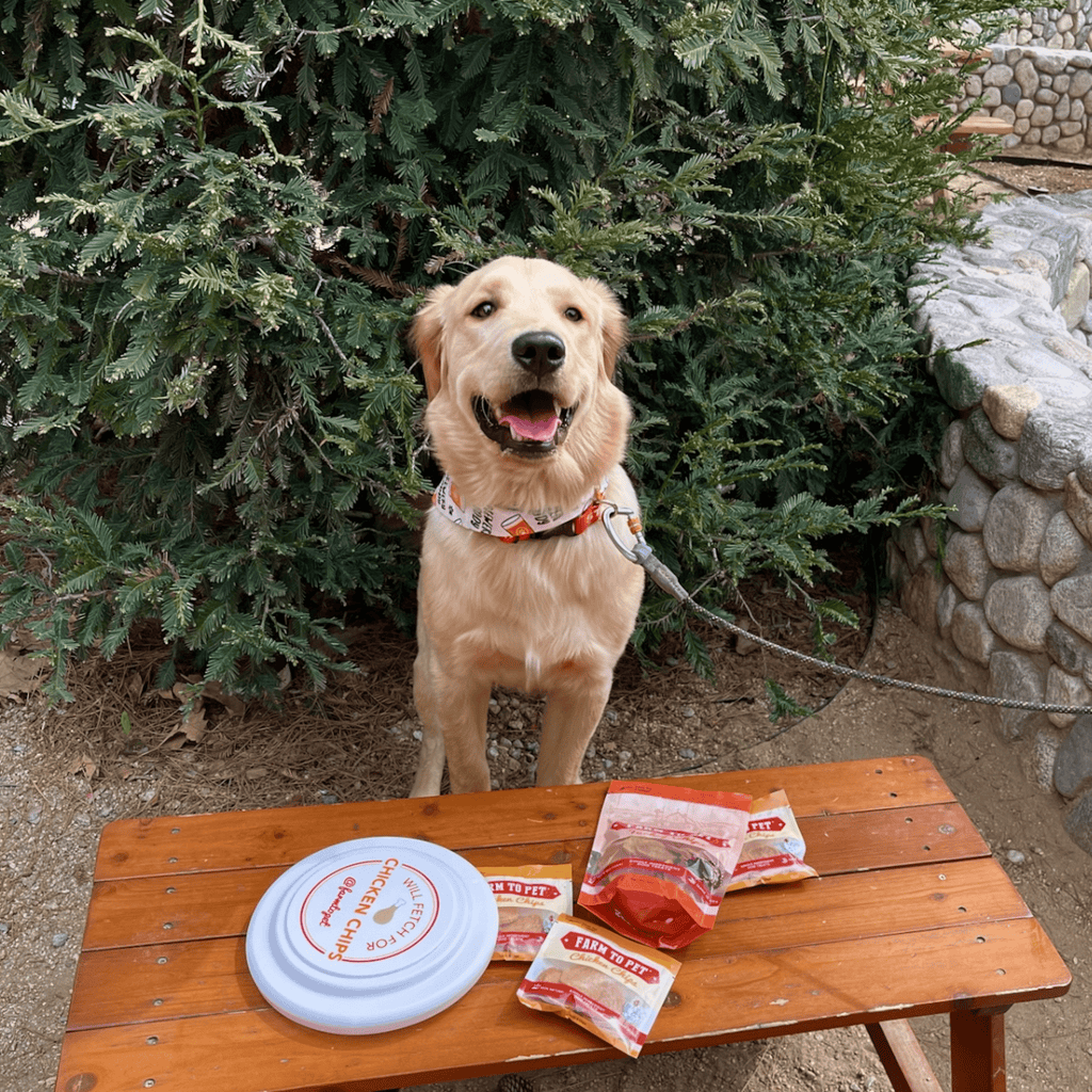 Will Fetch for Chicken Chips Dog Frisbee | Fun Toy for Dogs and Humans Farm To Pet