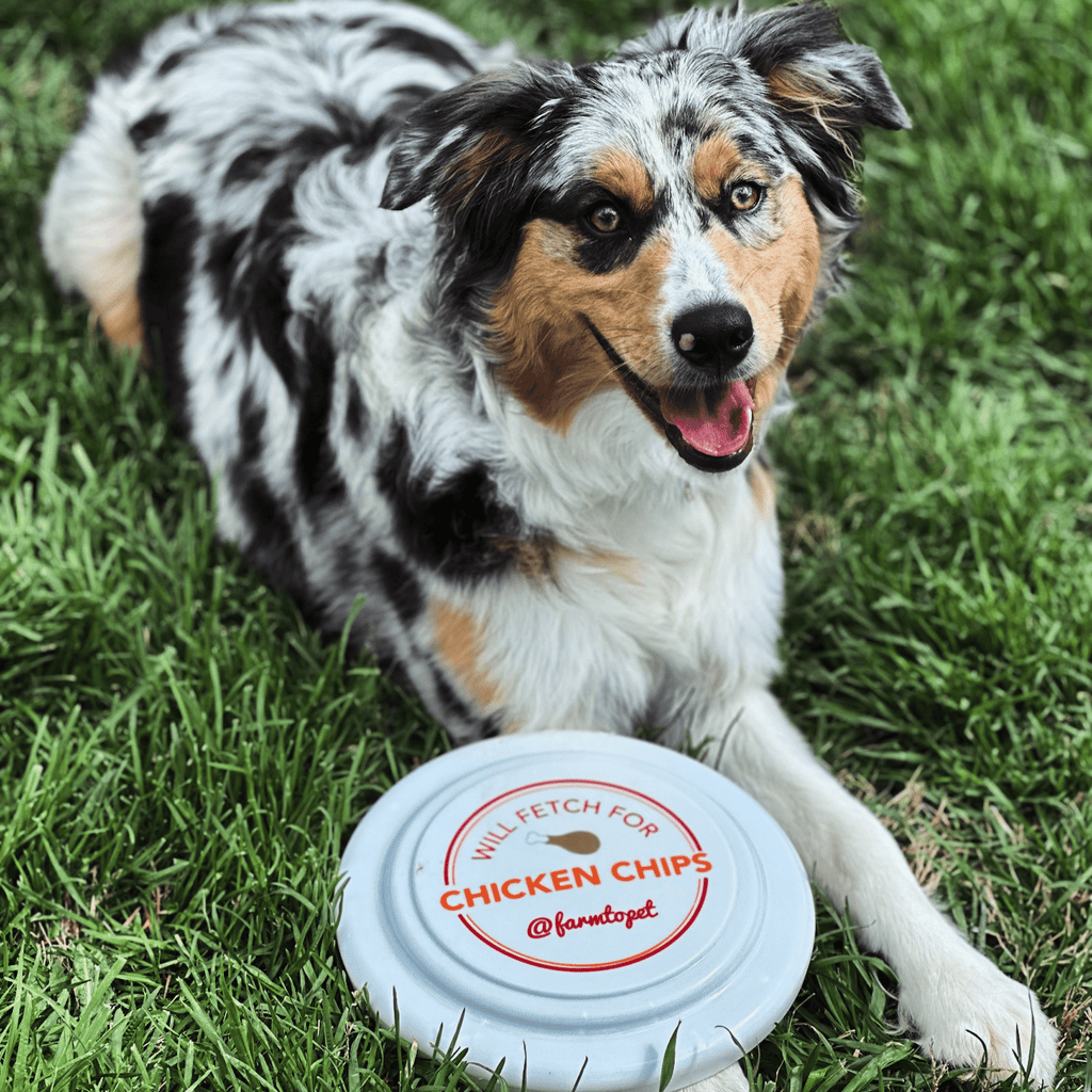 Will Fetch for Chicken Chips Dog Frisbee | Fun Toy for Dogs and Humans Farm To Pet