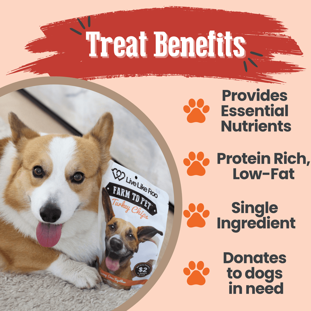 Live Like Roo Turkey Chips for Dogs | Dog Treats That Give Back Farm To Pet