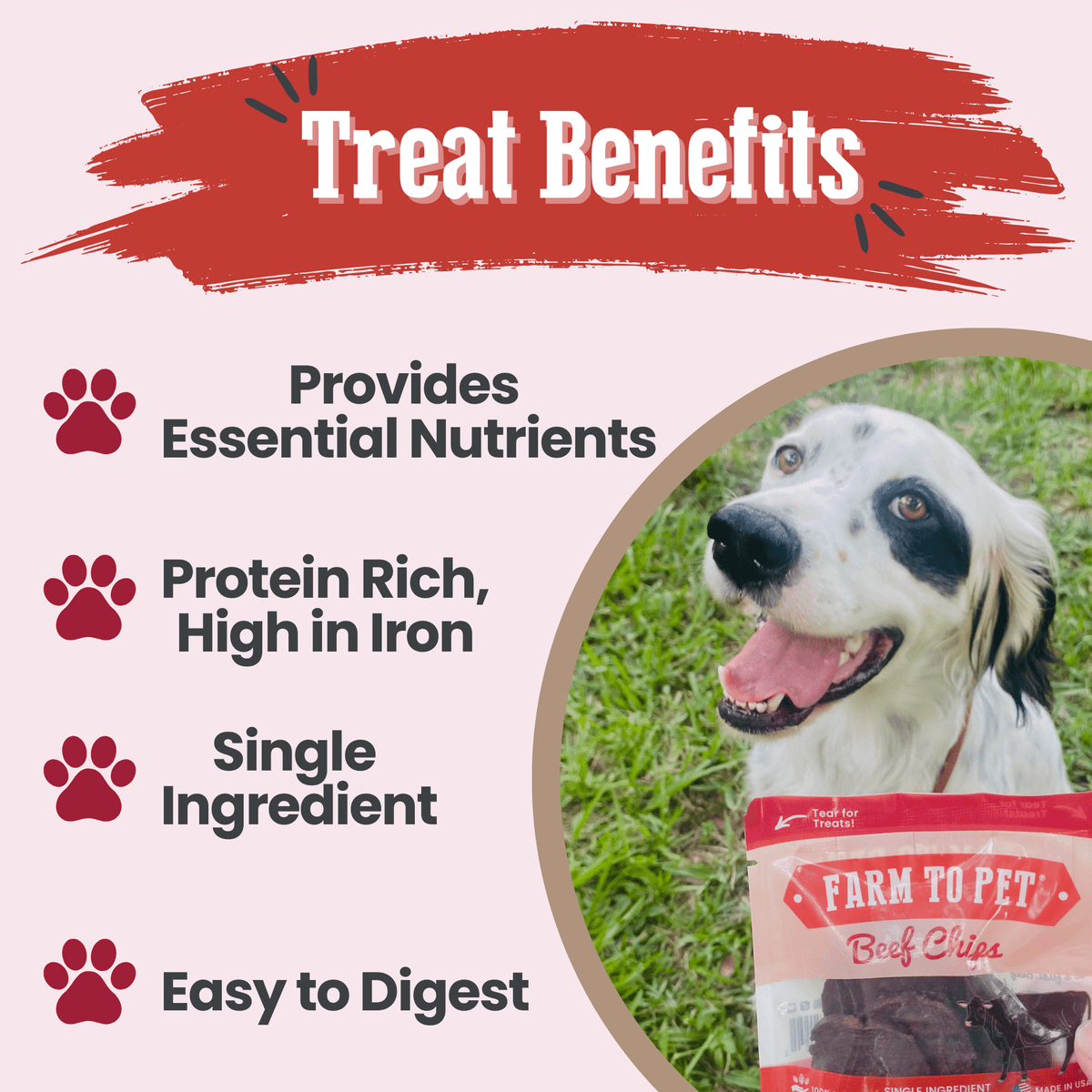 Beef Chips Snack Pack Bundles | Dog Treats for Training & Travel Farm To Pet