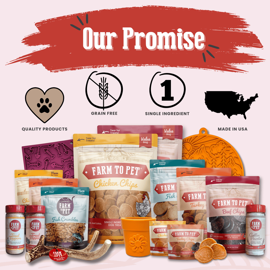 Beef Chips Dog Treats | Single-Ingredient Healthy Treats for Dogs Farm To Pet