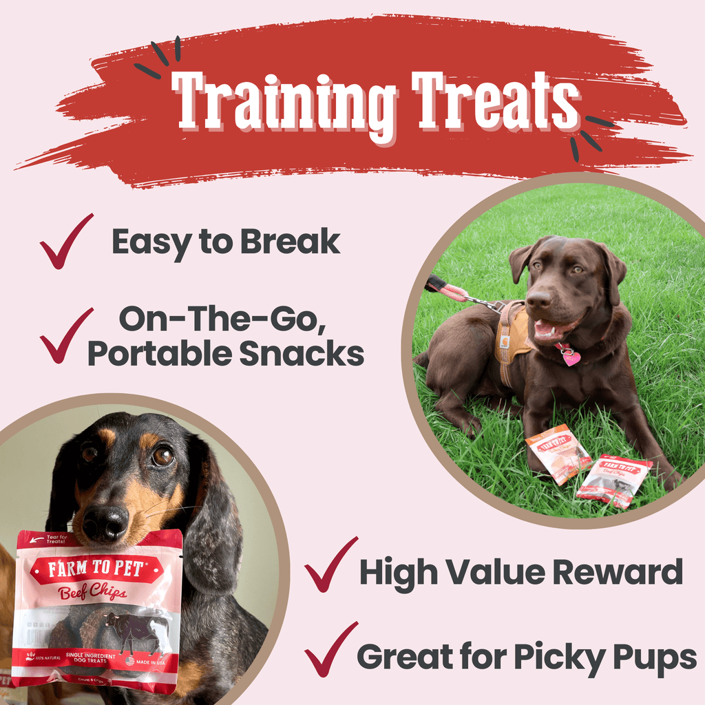 Beef Chips Snack Pack Bundles | Dog Treats for Training & Travel Farm To Pet