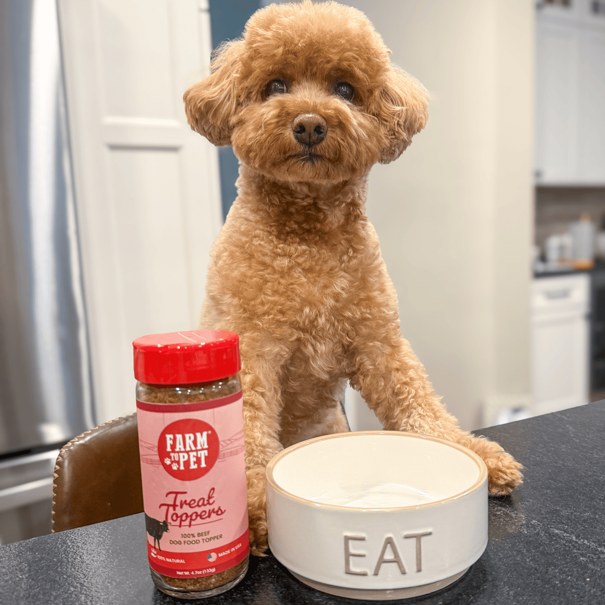 Treat Topper Beef Dog Food Topper | Powdered Meal Topper for Pets Farm To Pet