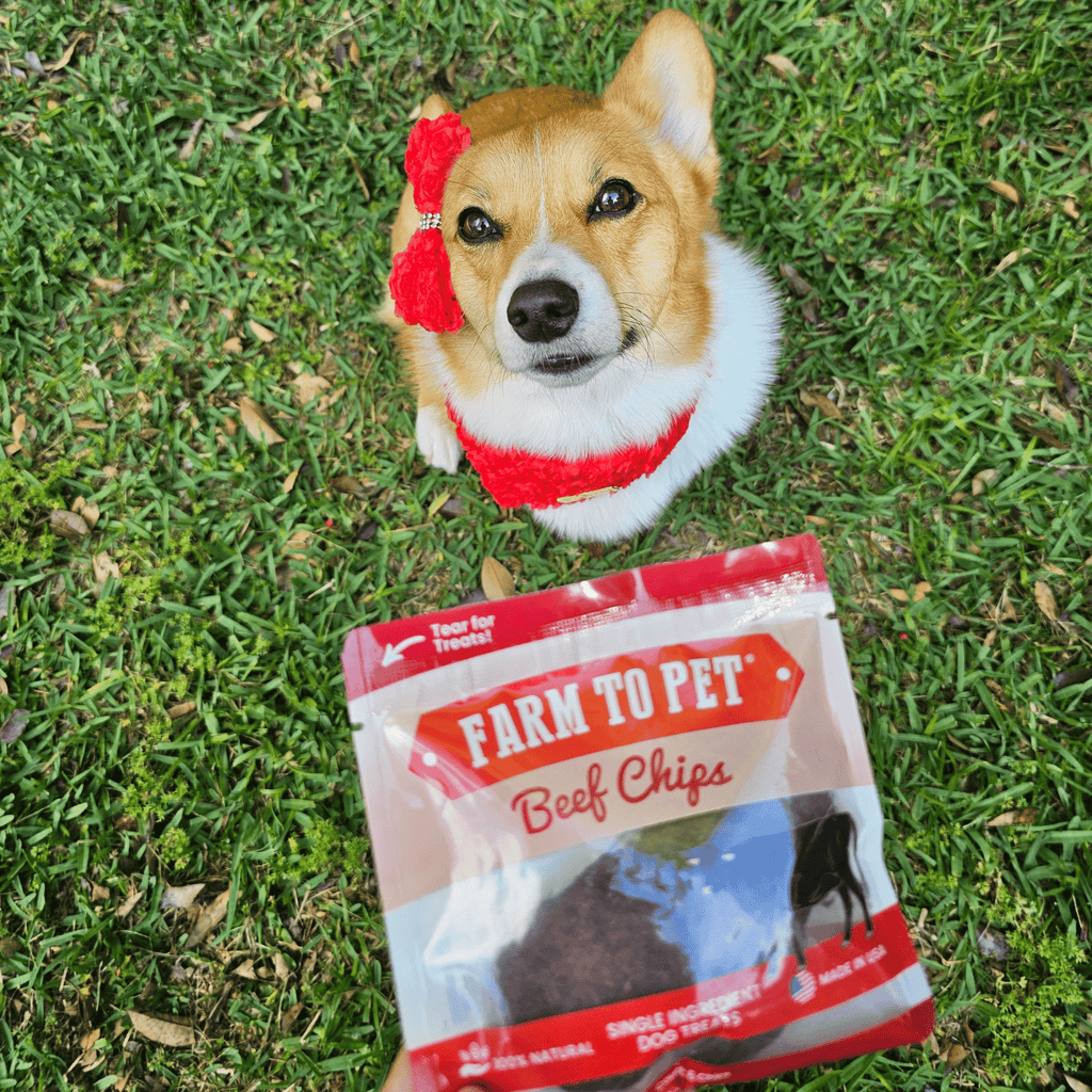 Beef Chips Snack Pack Bundles | Dog Treats for Training & Travel Farm To Pet