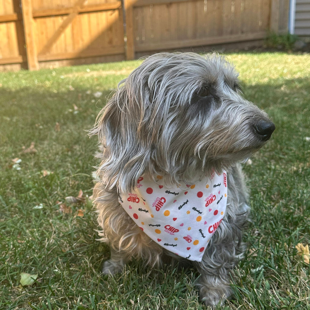Tie-on Dog Bandana | Adjustable String-tie Bandana for Dogs and Cats Farm To Pet