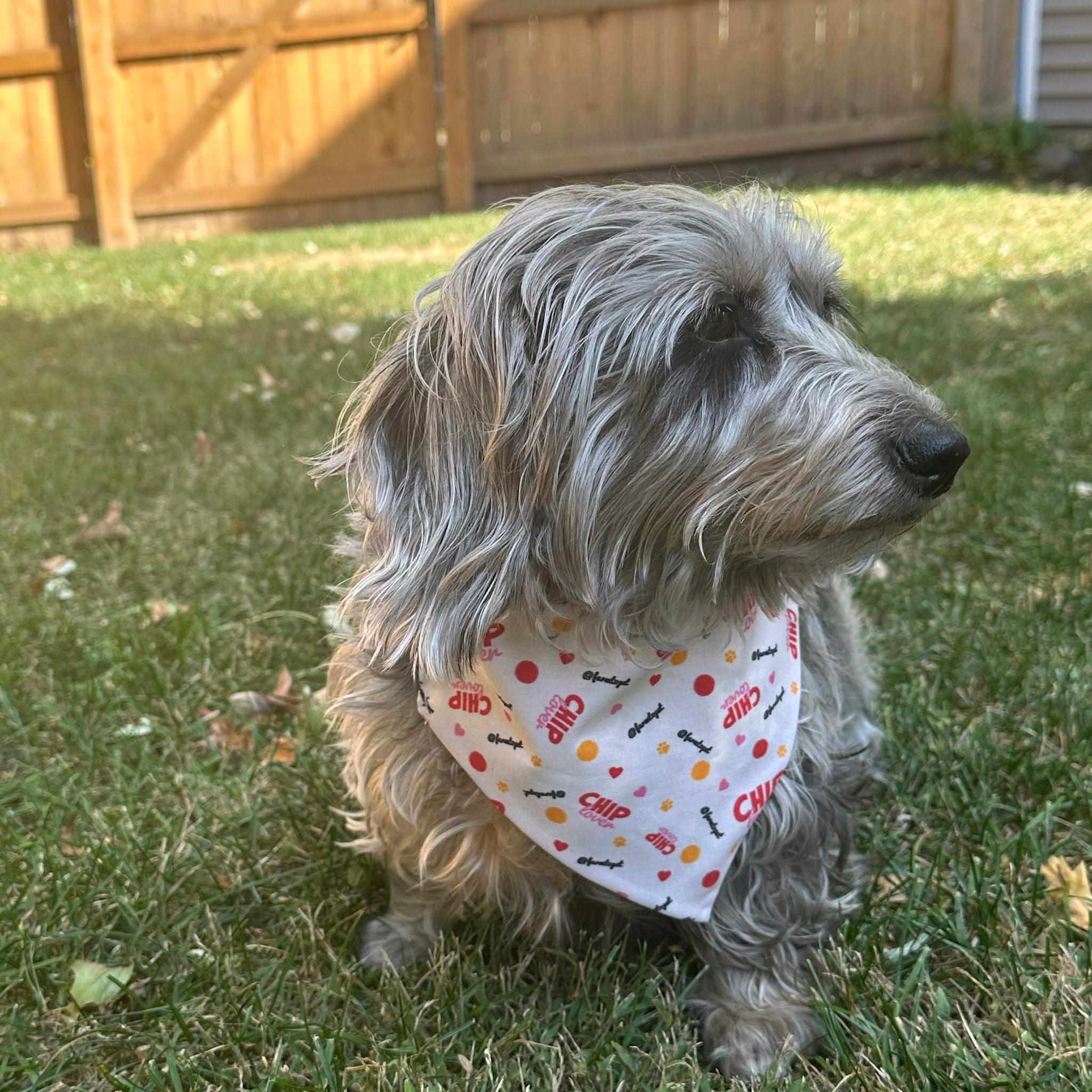 Tie-on Dog Bandana | Adjustable String-tie Bandana for Dogs and Cats Farm To Pet