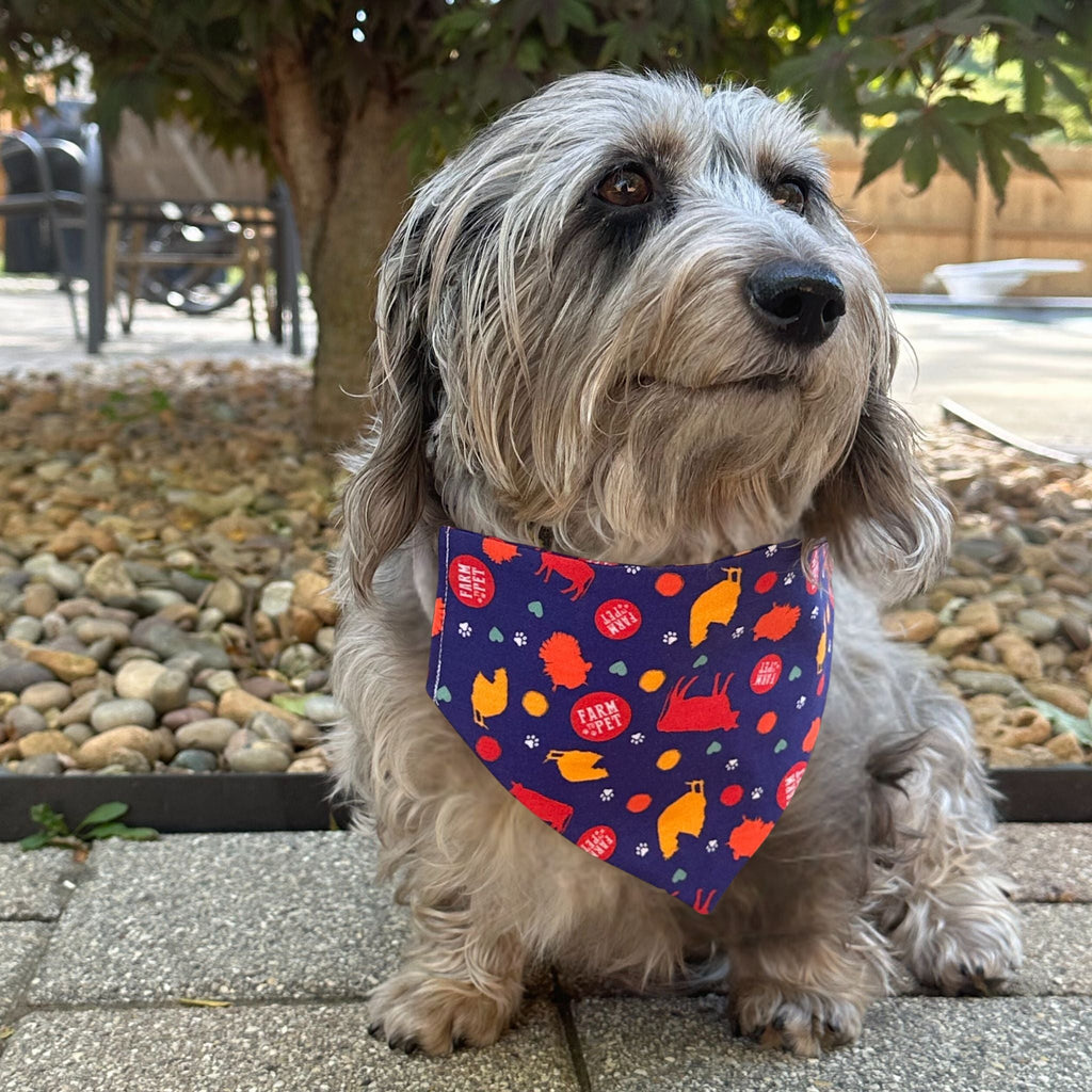 Tie-on Dog Bandana | Adjustable String-tie Bandana for Dogs and Cats Farm To Pet