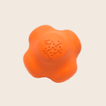 Dog Fetch Balls Farm To Pet