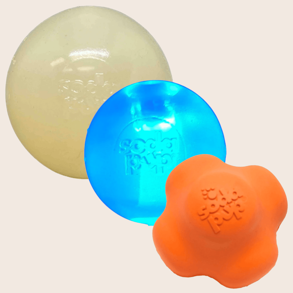 Dog Fetch Balls Farm To Pet