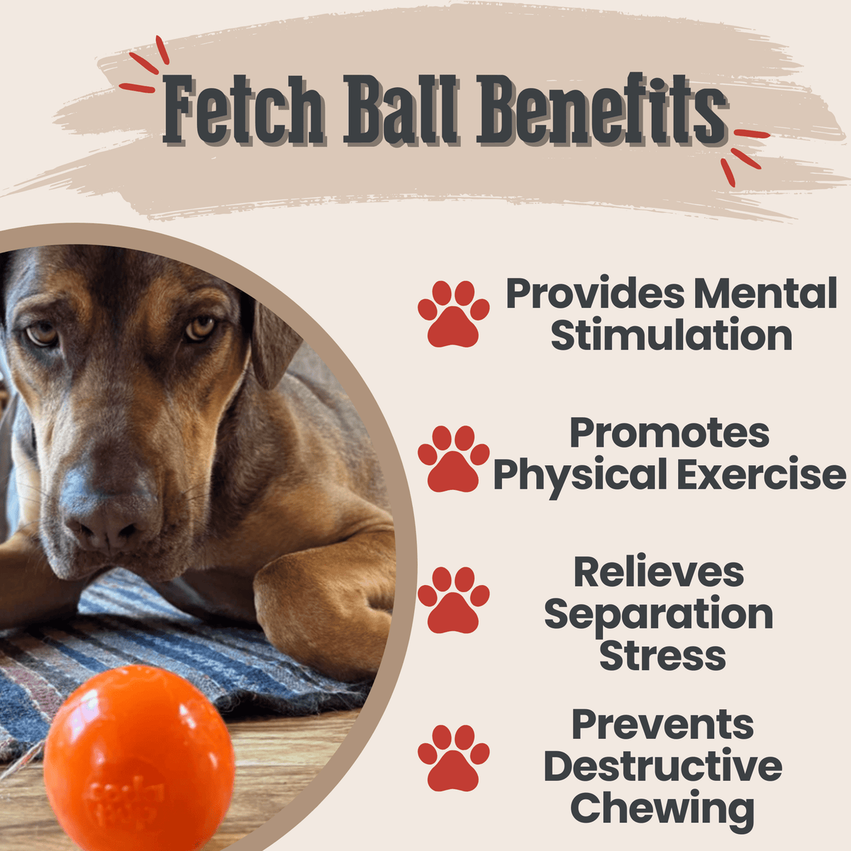 Dog Fetch Balls Farm To Pet