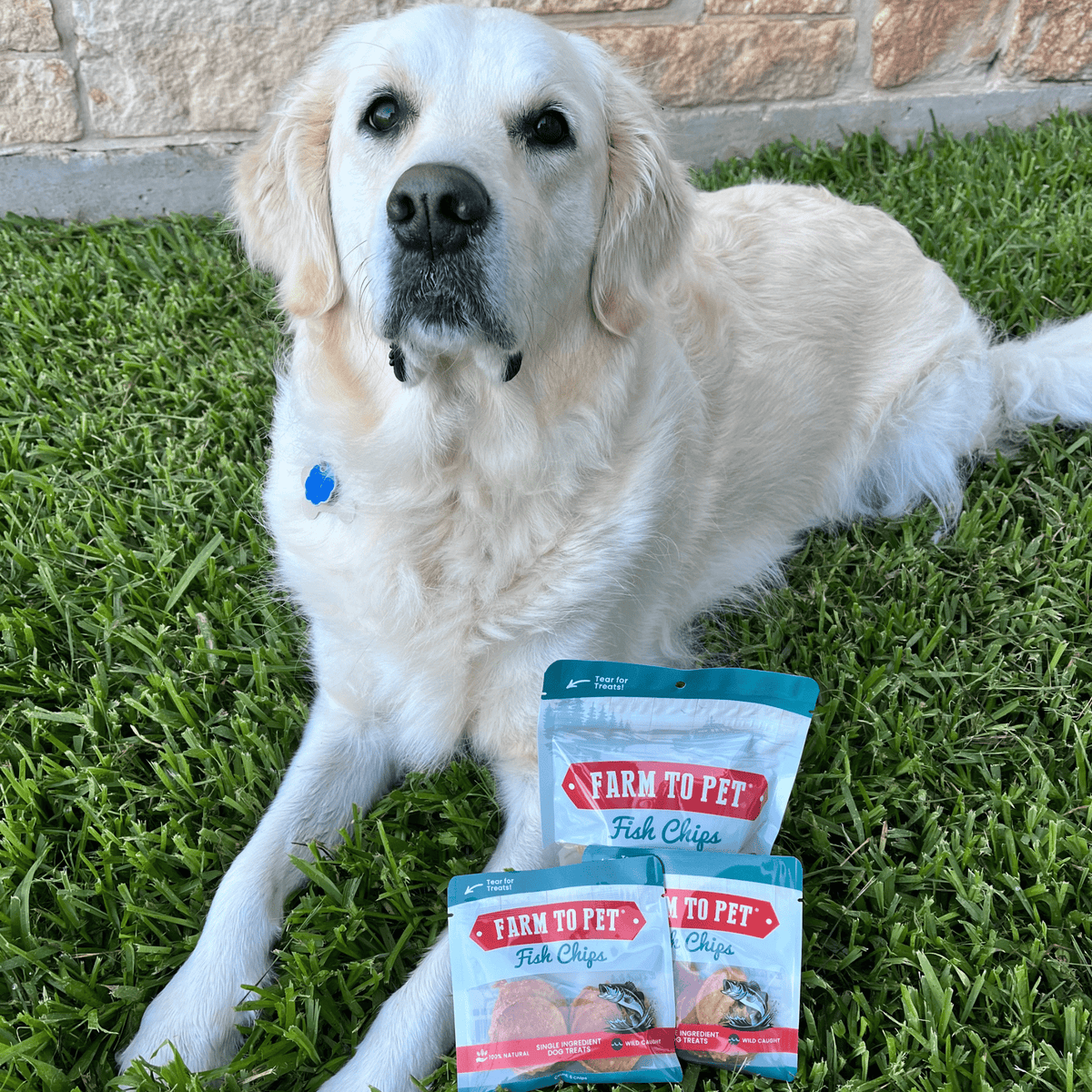 Fish Chips Snack Pack Bundles | Dog Treats for Training & Travel Farm To Pet