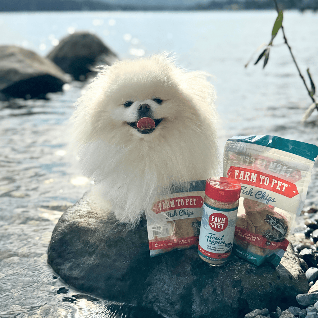 Treat Topper Fish Dog Food Topper | Low-Fat Meal Topper for Pets Farm To Pet