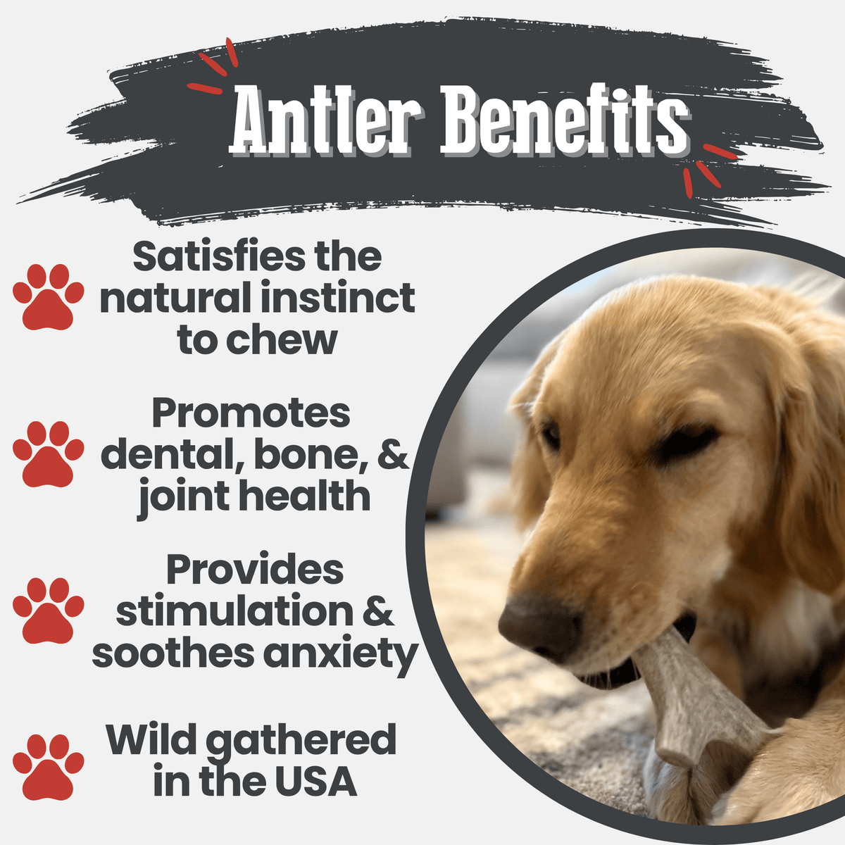 Deer Antler Dog Chews | Organic Chews for Dogs Farm To Pet