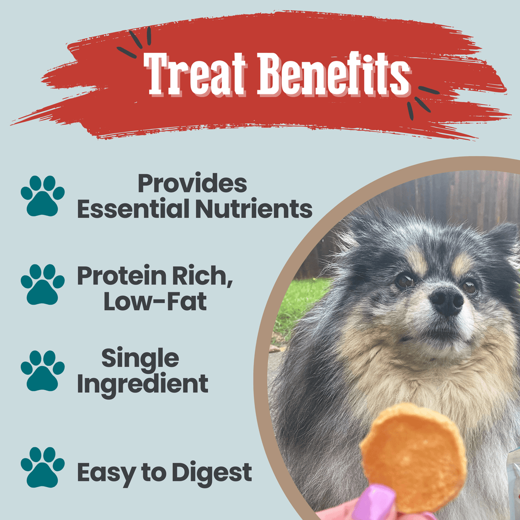 Fish Chips Snack Pack Bundles | Dog Treats for Training & Travel Farm To Pet