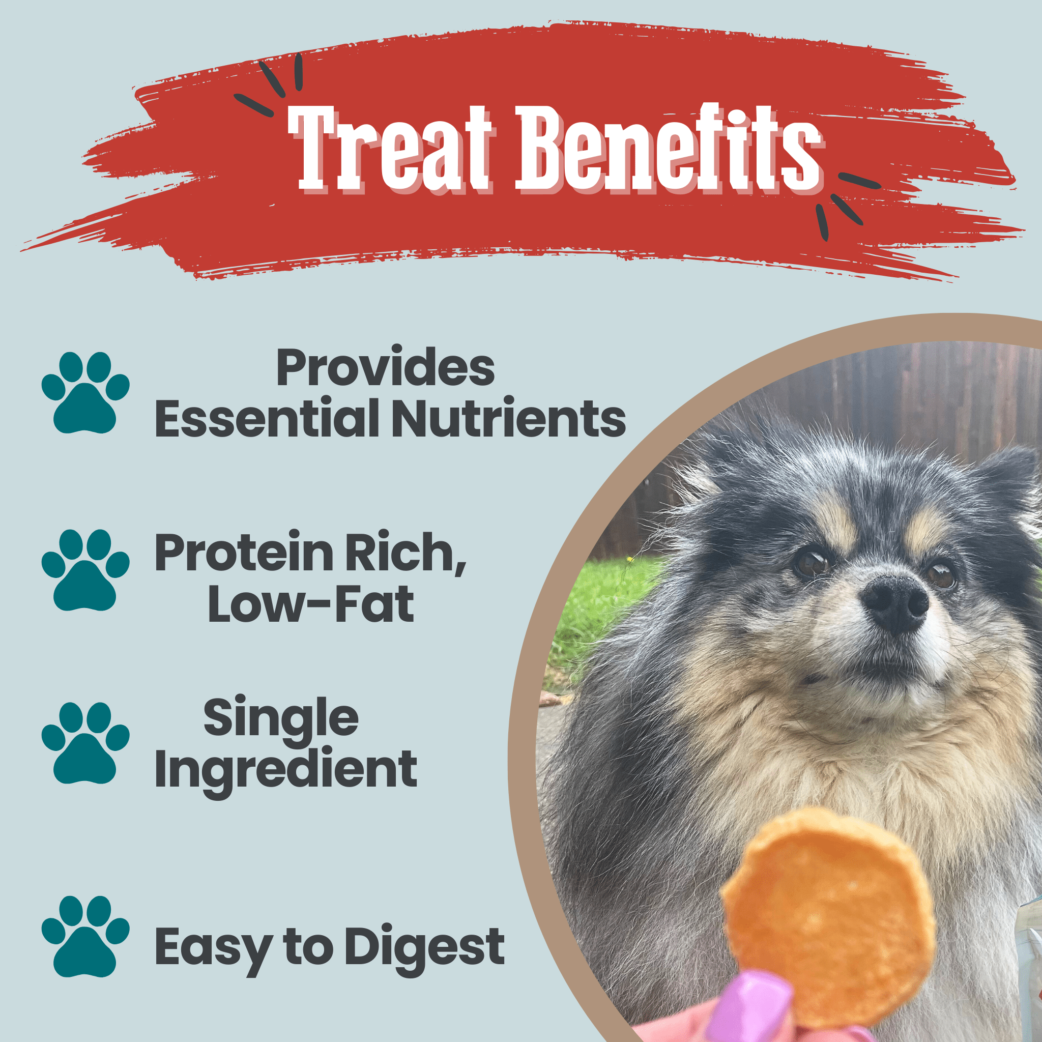 Fish Chips Snack Pack Bundles | Dog Treats for Training & Travel Farm To Pet