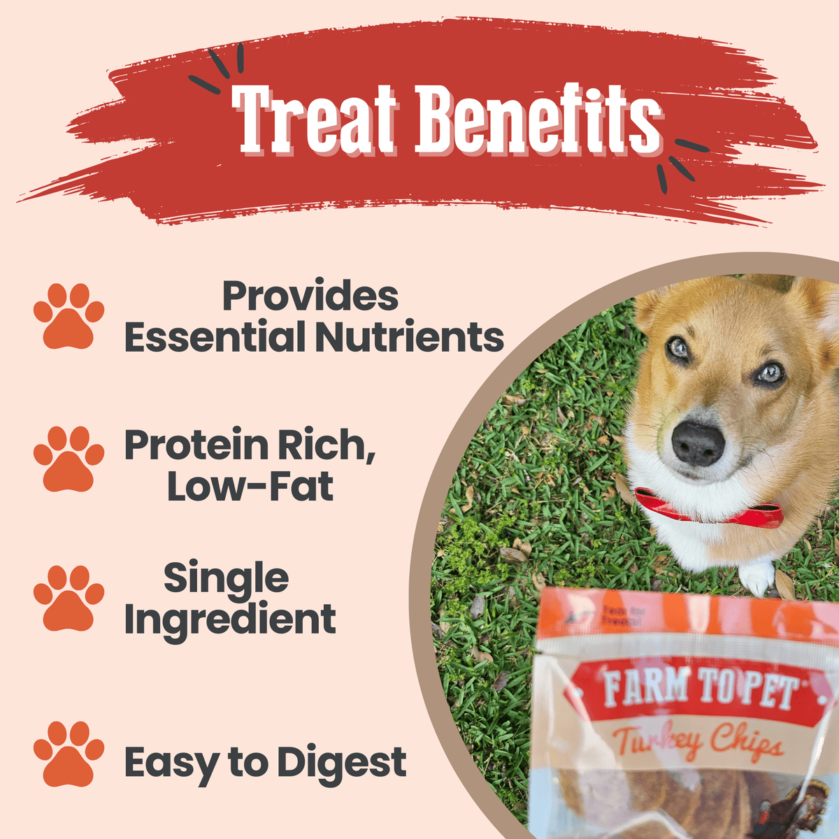 Turkey Chips Snack Pack Bundles | Low Allergen Treats for Training Farm To Pet