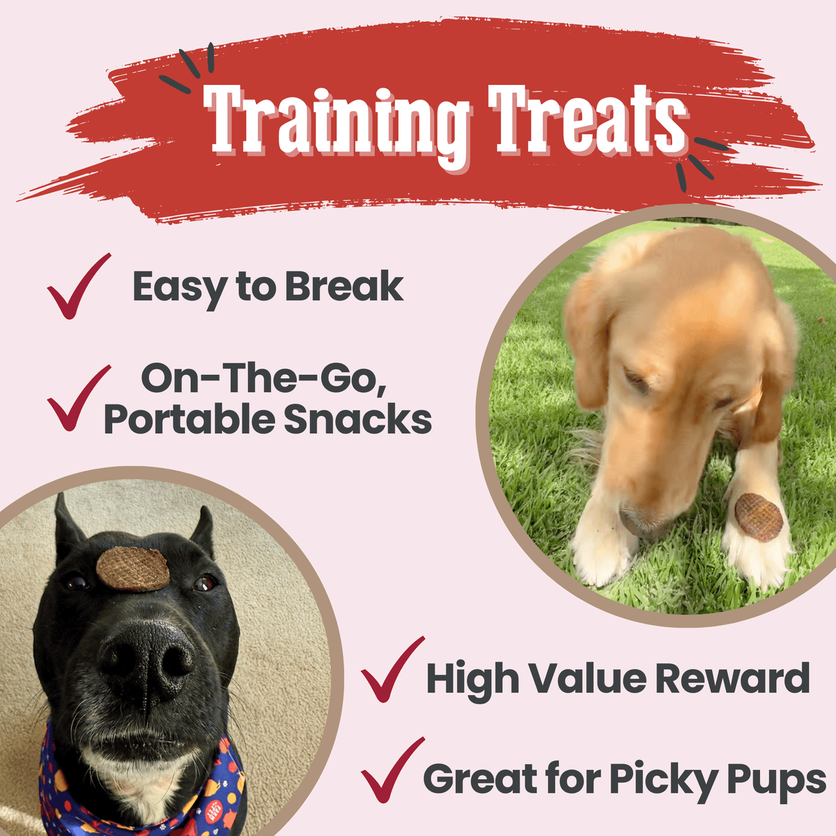Beef Chips Dog Treats | Single-Ingredient Healthy Treats for Dogs Farm To Pet