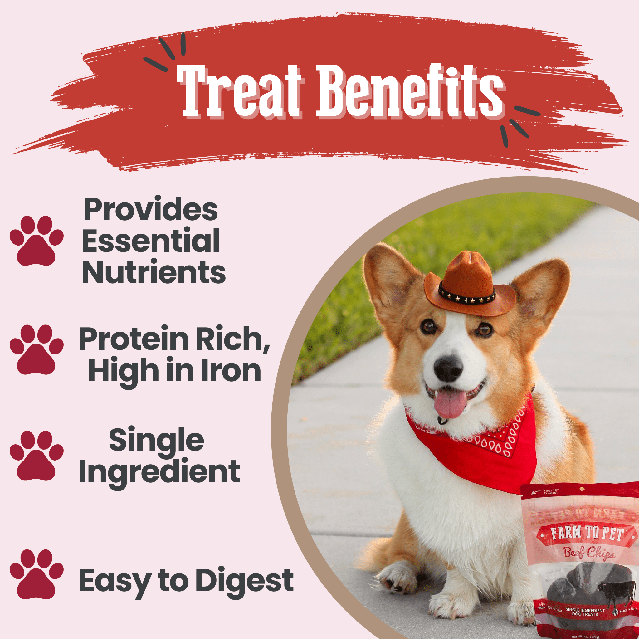 Beef Chips Dog Treats | Single-Ingredient Healthy Treats for Dogs Farm To Pet