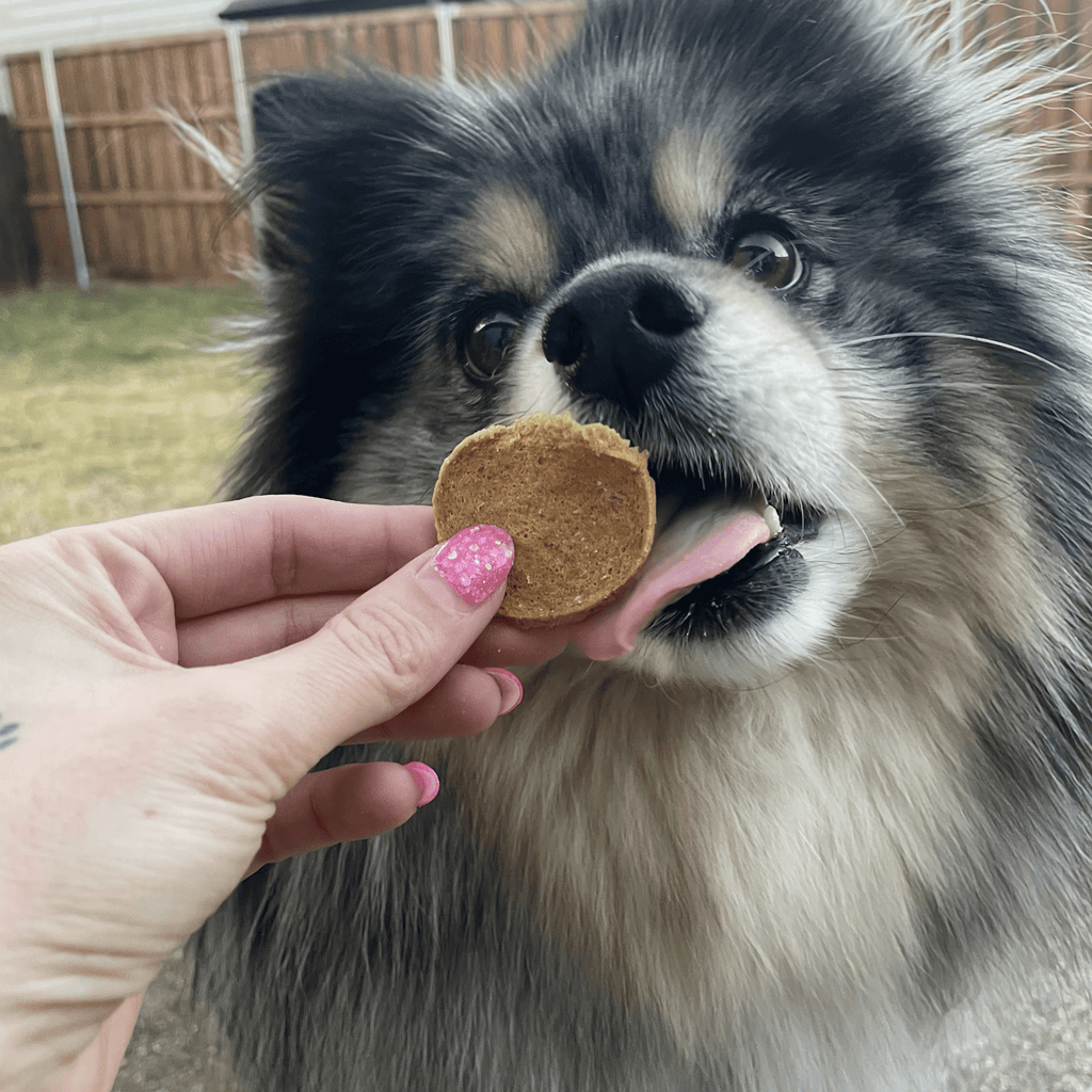 Fish Chips for Dogs | Wild-Caught Fish Dog Treats Farm To Pet