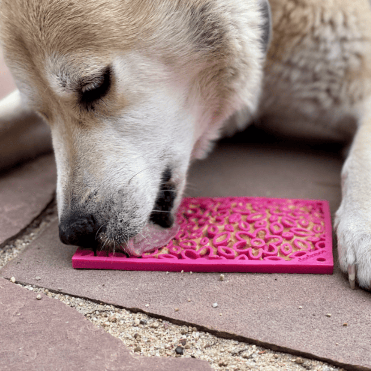 Lick Mats for Cats and Small Dogs Farm To Pet