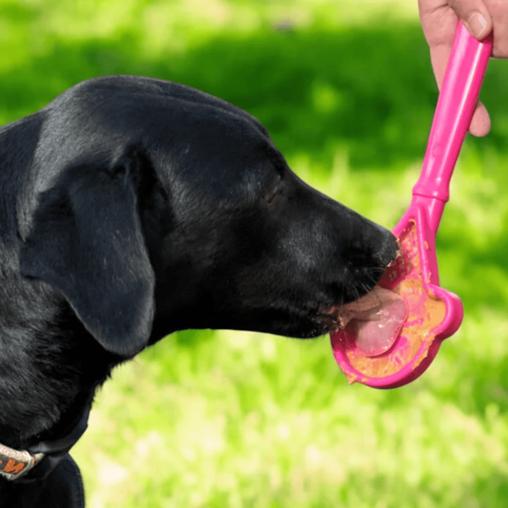 Lick Sticks | Interactive Dog Training Toy Farm To Pet