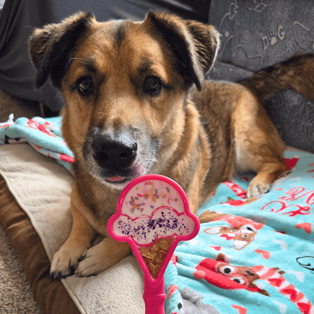Lick Sticks | Interactive Dog Training Toy Farm To Pet