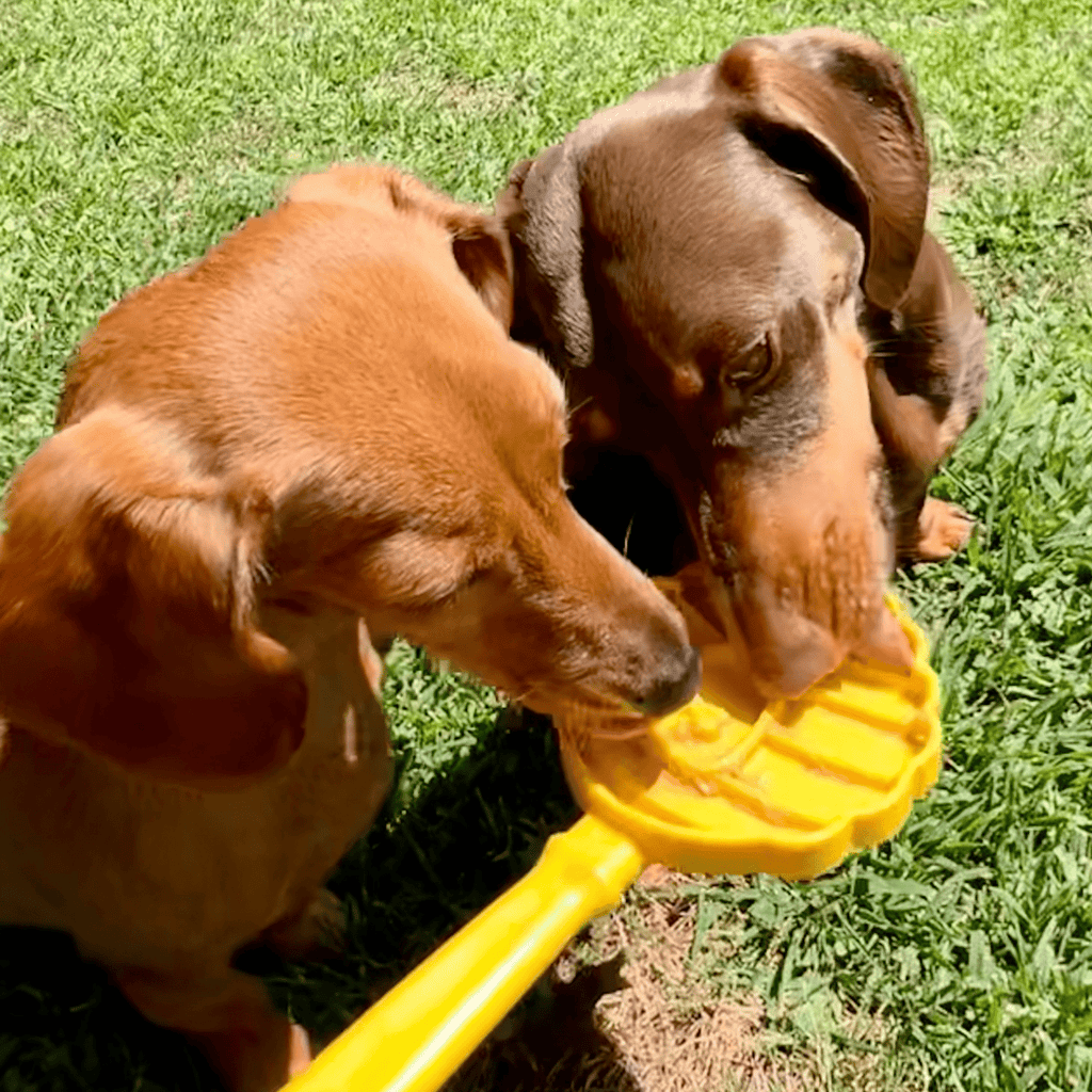 Lick Sticks | Interactive Dog Training Toy Farm To Pet