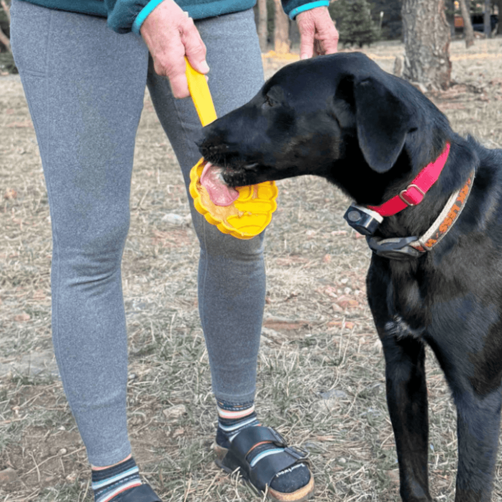 Lick Sticks | Interactive Dog Training Toy Farm To Pet