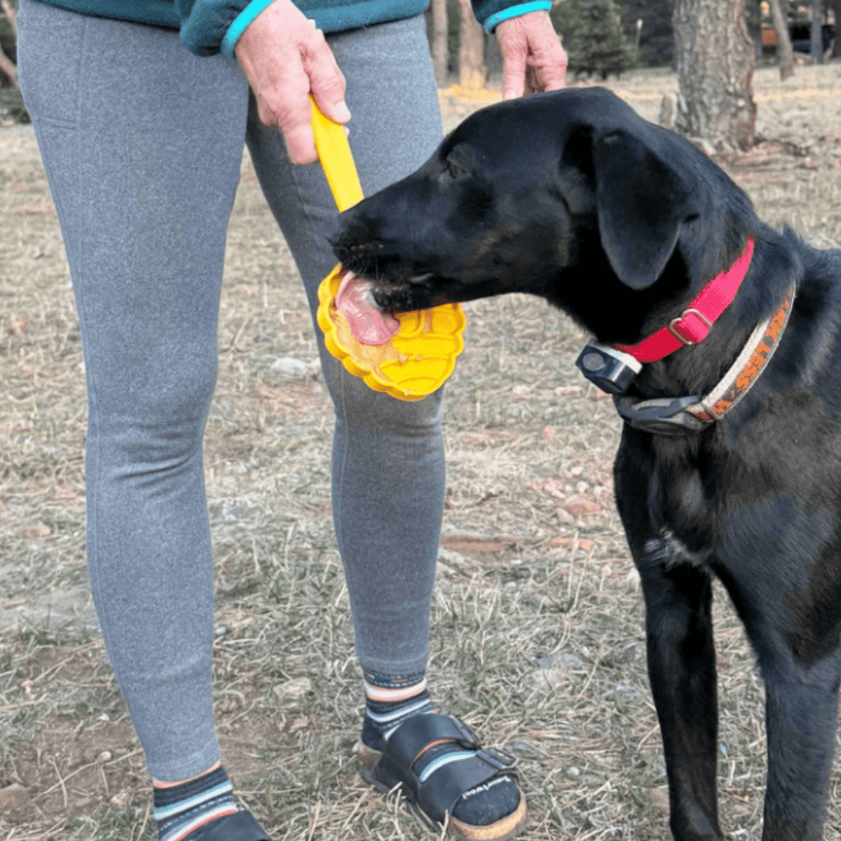 Lick Sticks | Interactive Dog Training Toy Farm To Pet