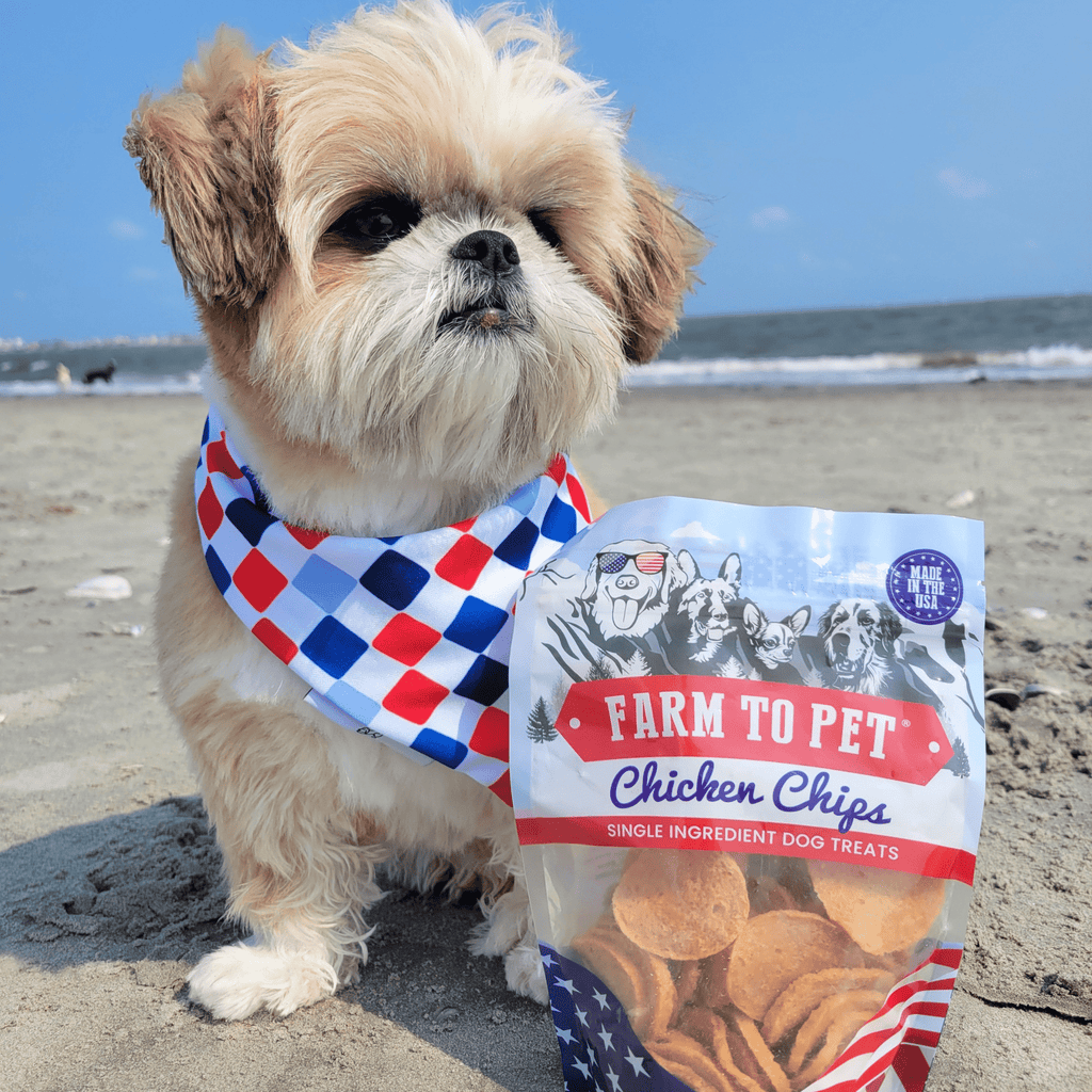 Americana Chicken Chips for Dogs | Celebrate with USA-made Dog Treats Farm To Pet