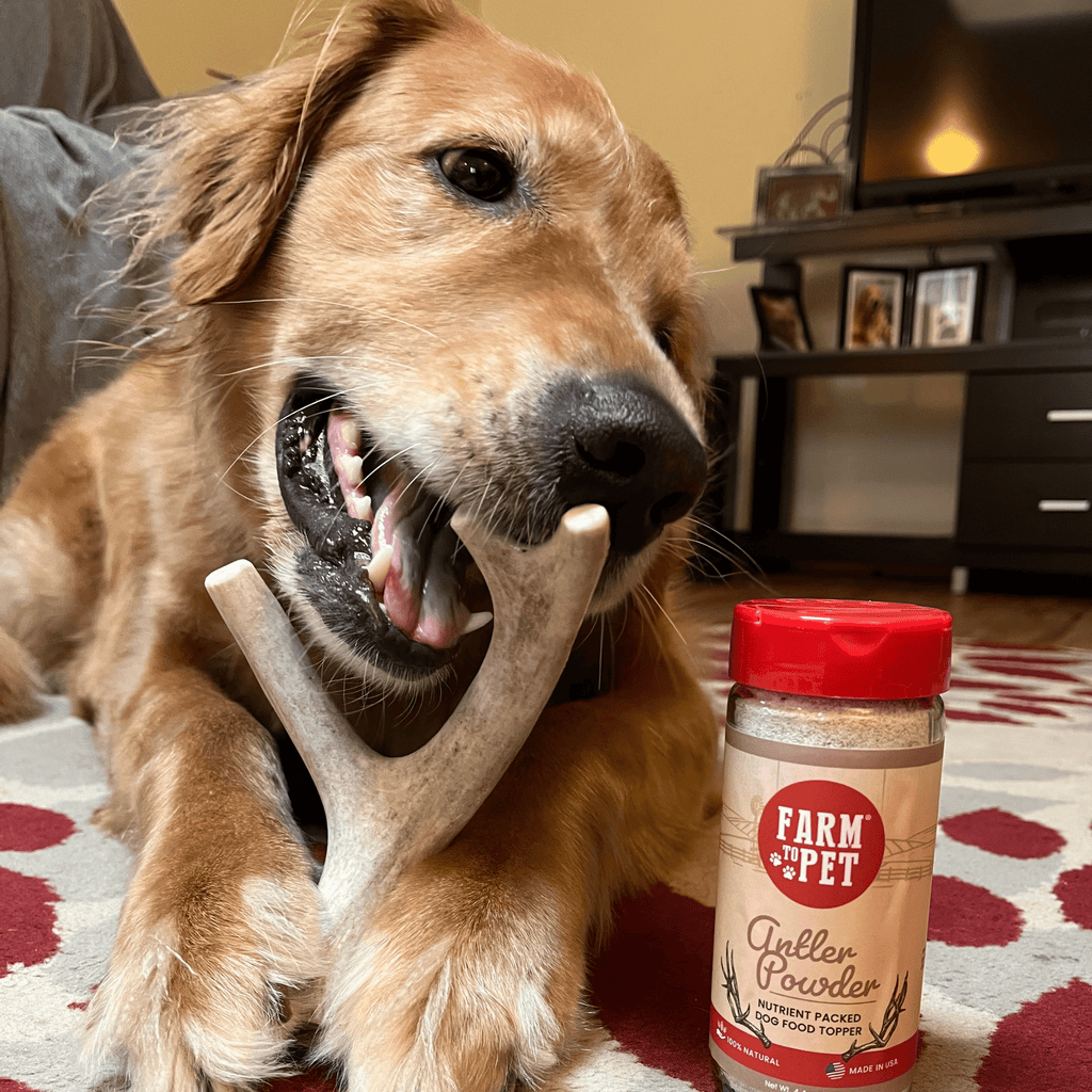 Deer Antler Dog Chews | Organic Chews for Dogs Farm To Pet
