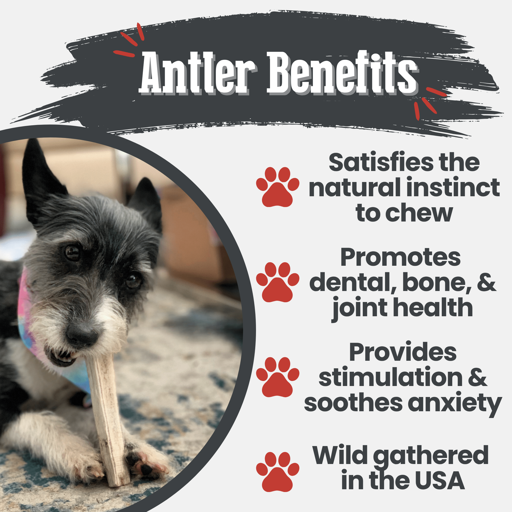 Elk Antler Dog Chews | All-Natural Whole and Split Elk Antler Chews for Dogs Farm To Pet