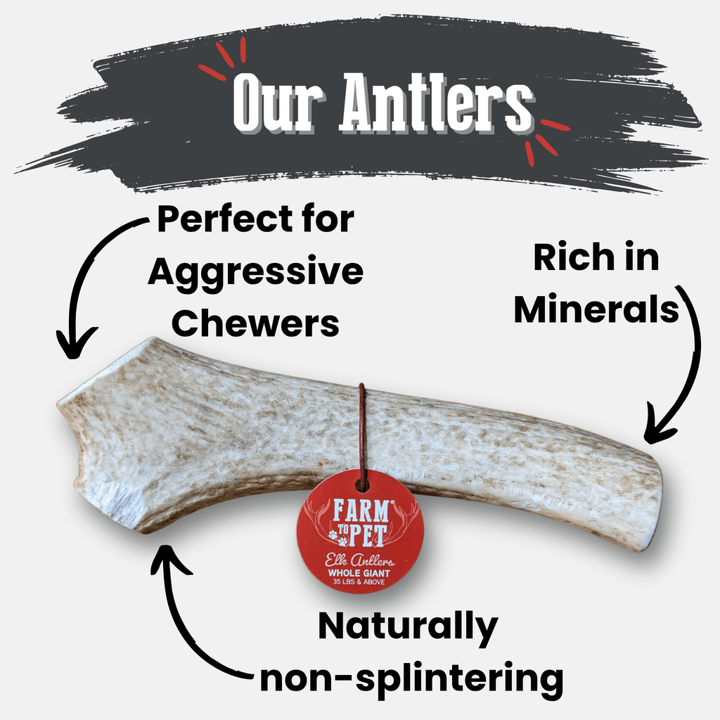 Elk Antler Dog Chews | All-Natural Whole and Split Elk Antler Chews for Dogs Farm To Pet