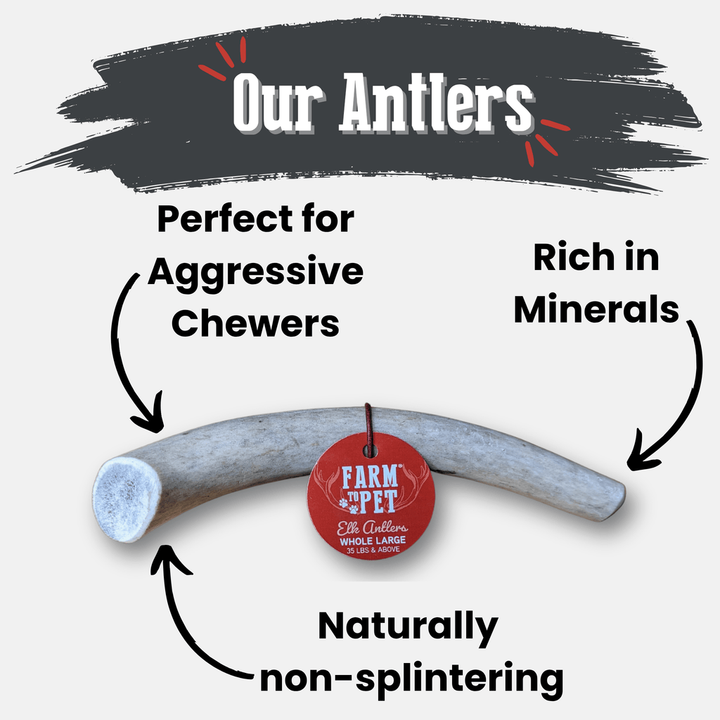 Elk Antler Dog Chews | All-Natural Whole and Split Elk Antler Chews for Dogs Farm To Pet