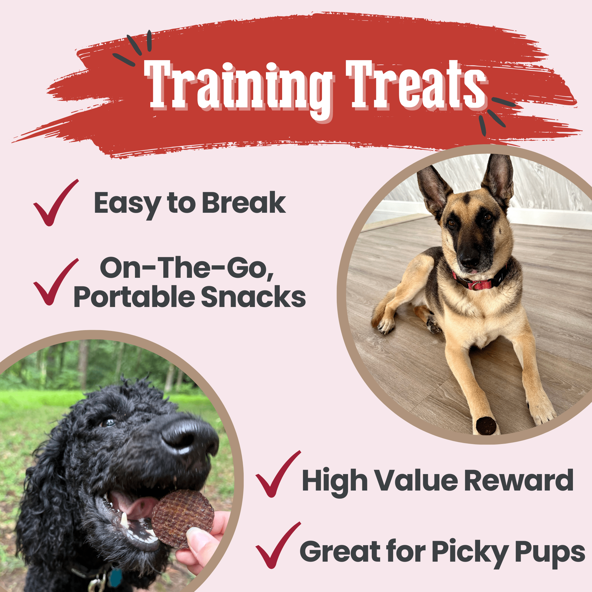 Beef Chips Dog Treats | Single-Ingredient Healthy Treats for Dogs Farm To Pet