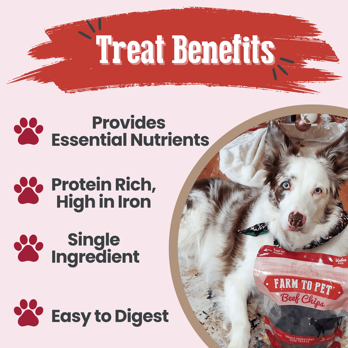 Beef Chips Dog Treats | Single-Ingredient Healthy Treats for Dogs Farm To Pet