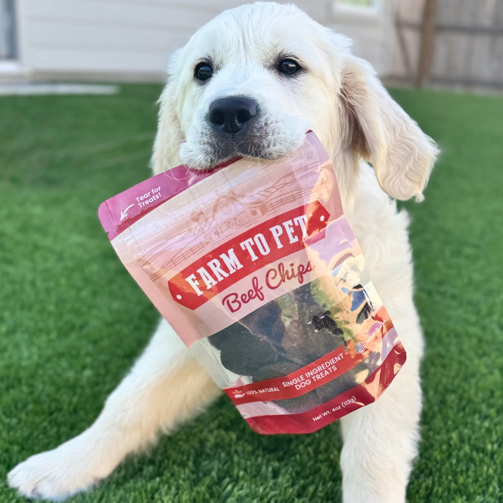 Beef Chips Dog Treats | Single-Ingredient Healthy Treats for Dogs Farm To Pet
