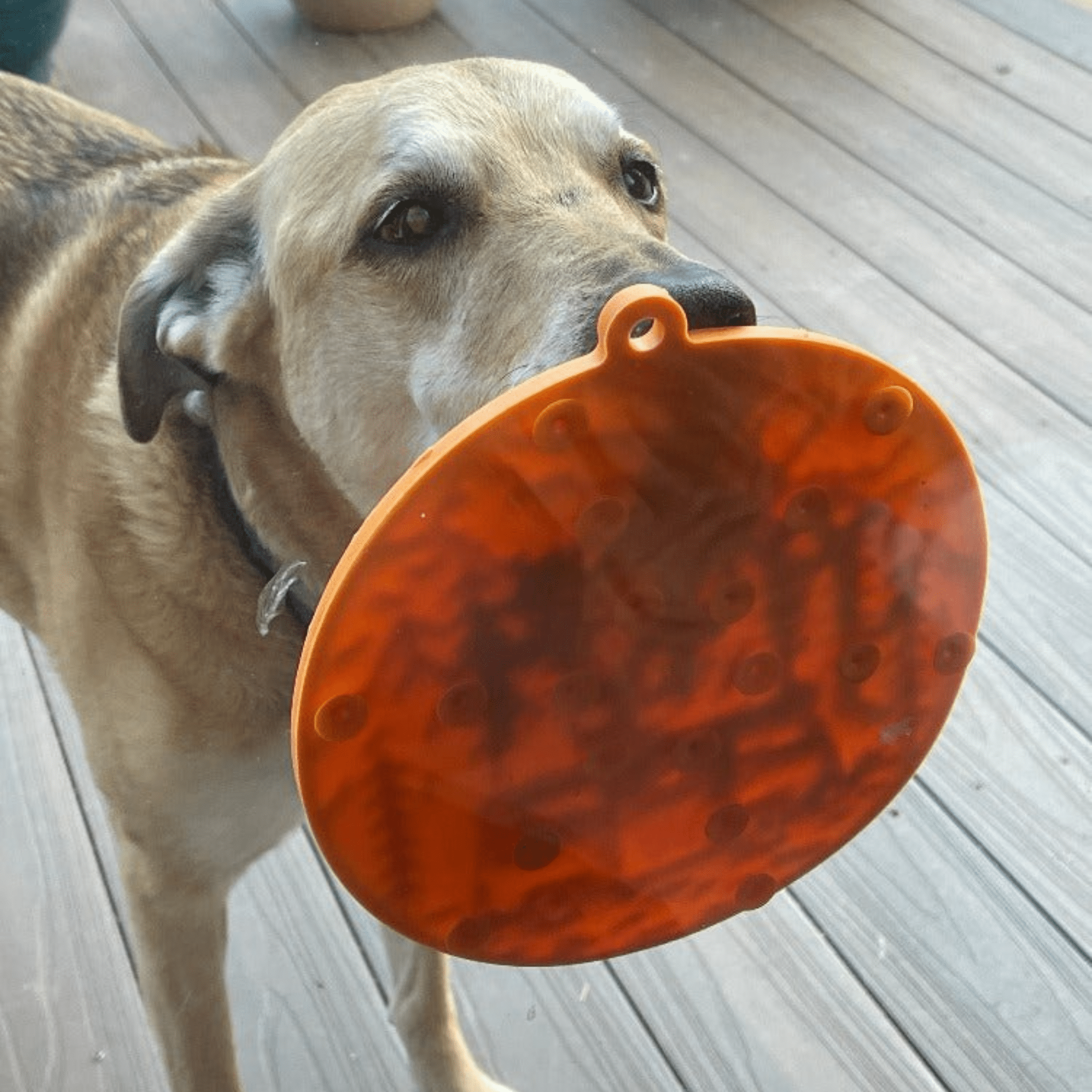 Dog Lick Mats with Suction Cups Farm To Pet